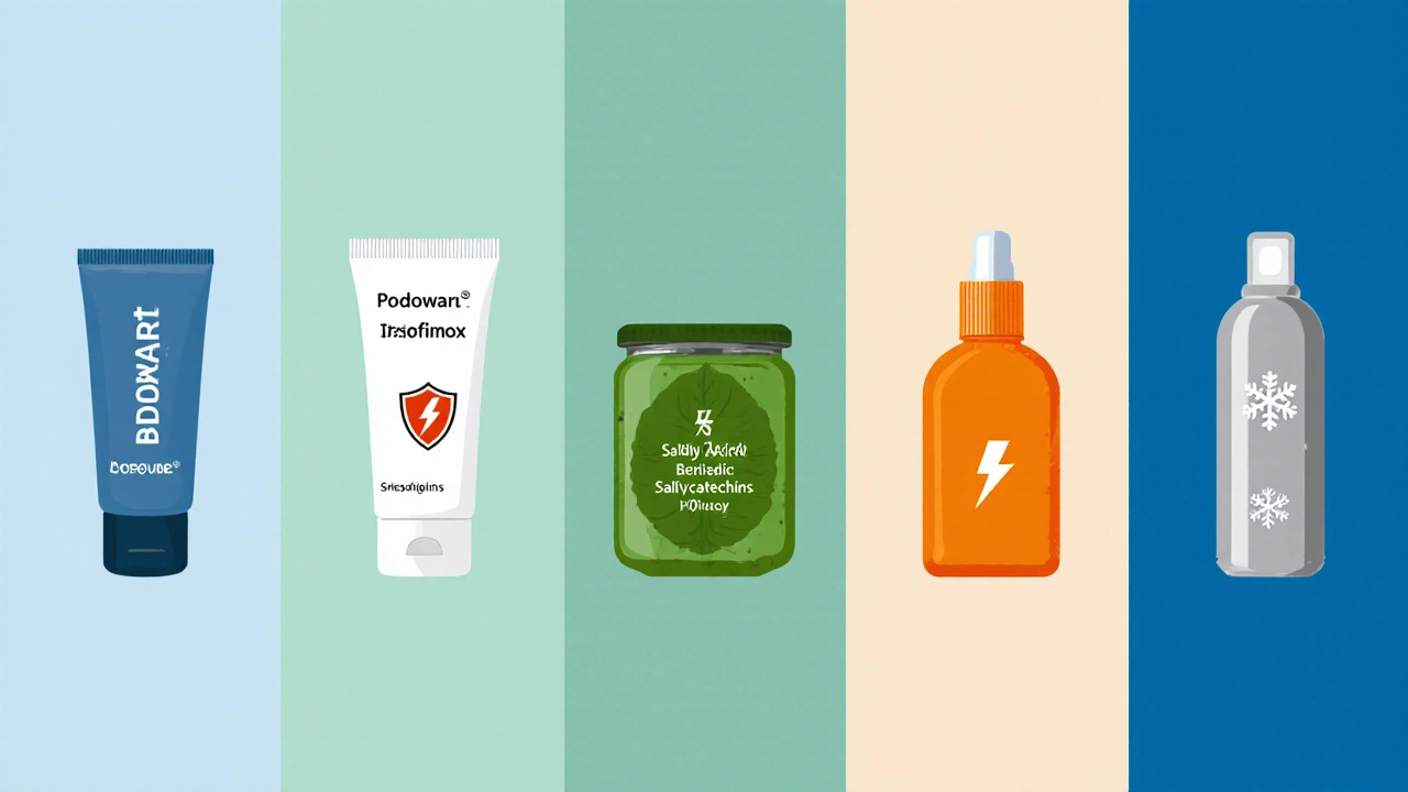 Comparación visual de seis tratamientos dermatológicos mostrados en una cuadrícula ordenada, sin texto.