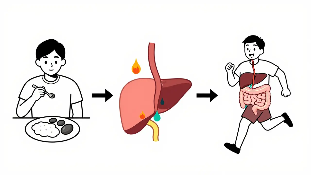 Línea de tiempo ilustrada: formación de cálculos, complicaciones y recuperación post-cirugía.