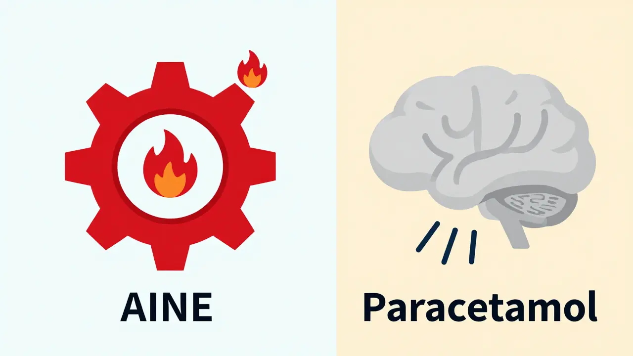Píldoras AINE y paracetamol representadas como símbolos abstractos que actúan sobre inflamación y señal de dolor.