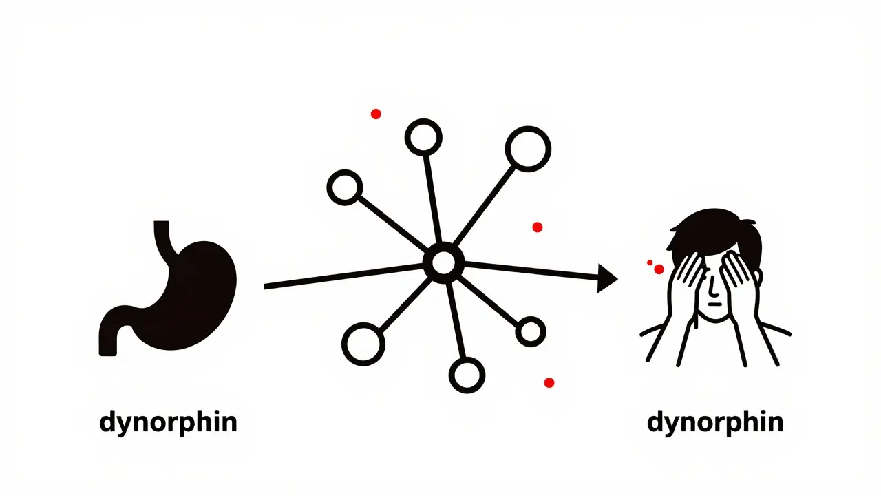 Diagrama minimalista que muestra la conexión neuronal del efecto nocebo en el cuerpo