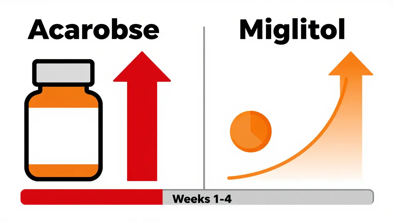 Comparación gráfica minimalista entre Acarbosa y Miglitol indicando intensidad de gases y adaptación