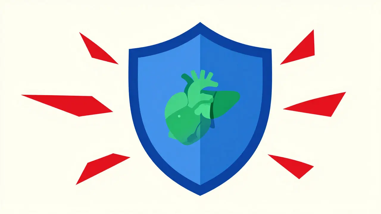 Escudo azul protegiendo el órgano contra rechazos inmunológicos