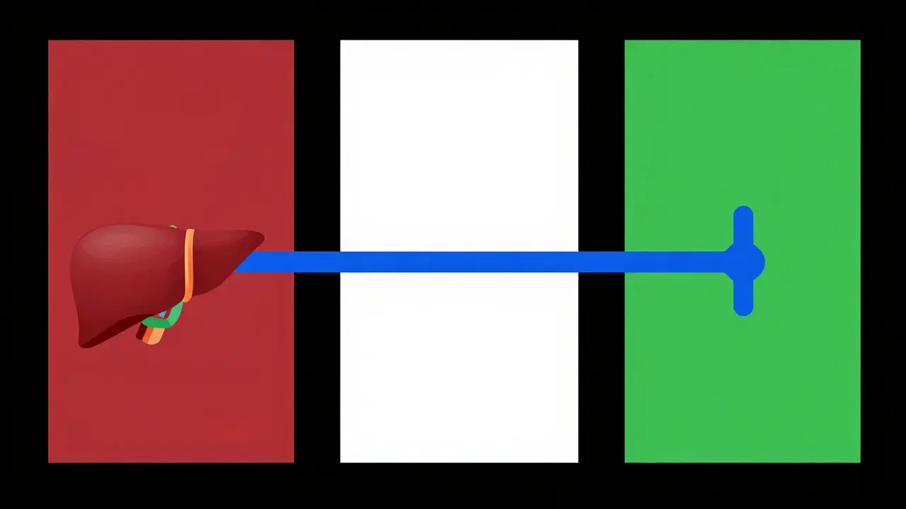 Fases quirúrgicas del trasplante representadas con bloques geométricos